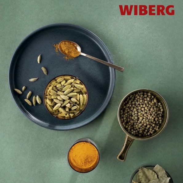 Catalogo Wiberg - Horeca 2024