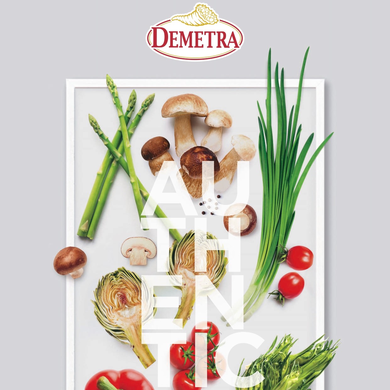 Produkt Katalog Demetra - Horeca 2024