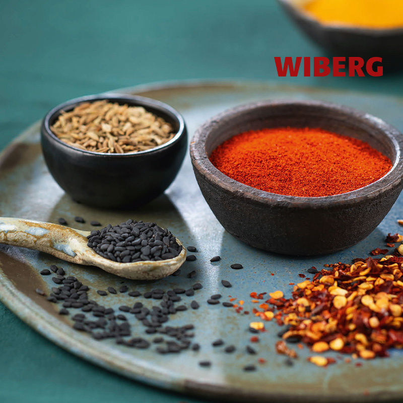 Catalogo Wiberg - Horeca 2026