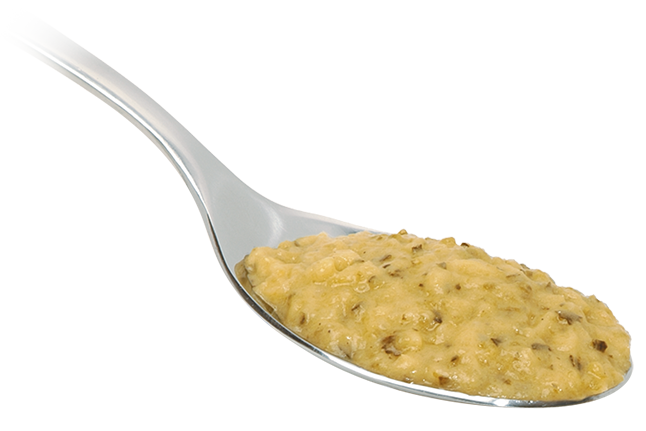 Crema di Zucchine