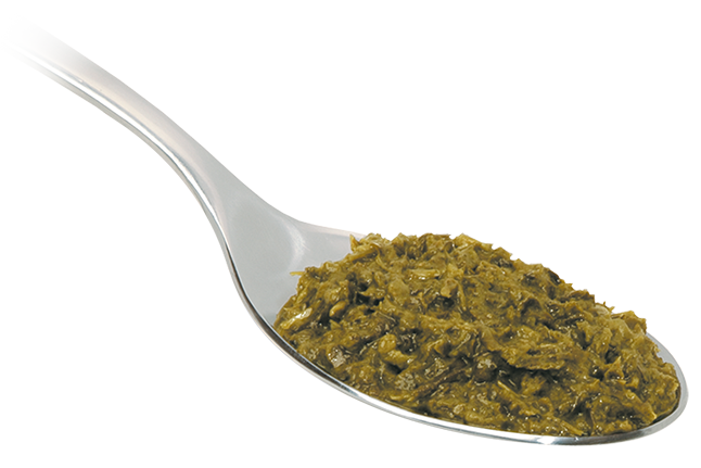 Crema di Rucola