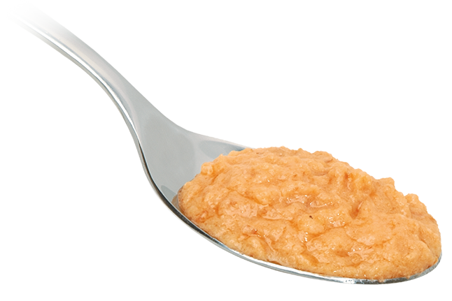 Crème de Saumon