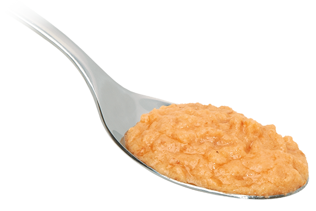 Crema de Salmón