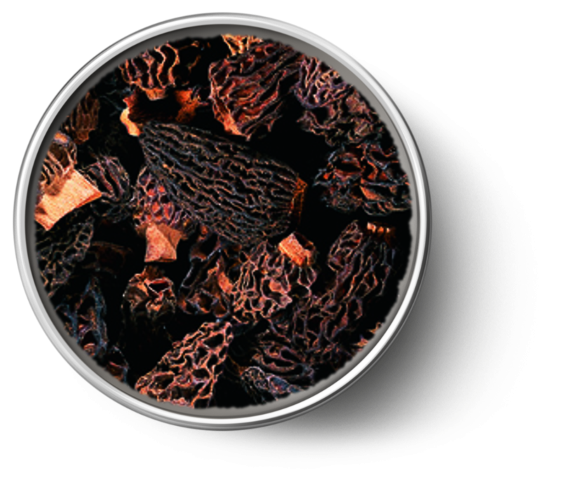 Black Morels, Dried
