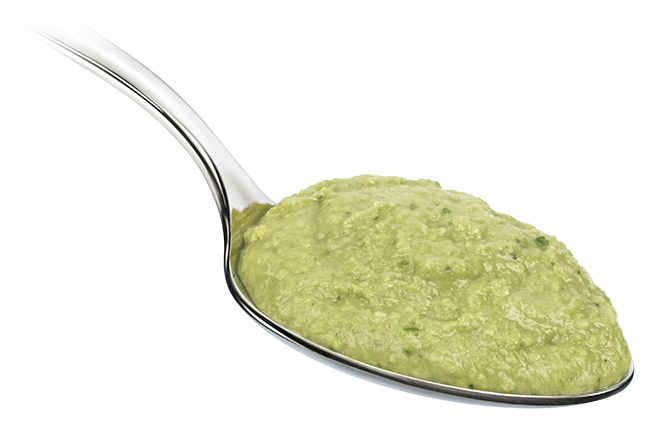 Guacamole Sauce