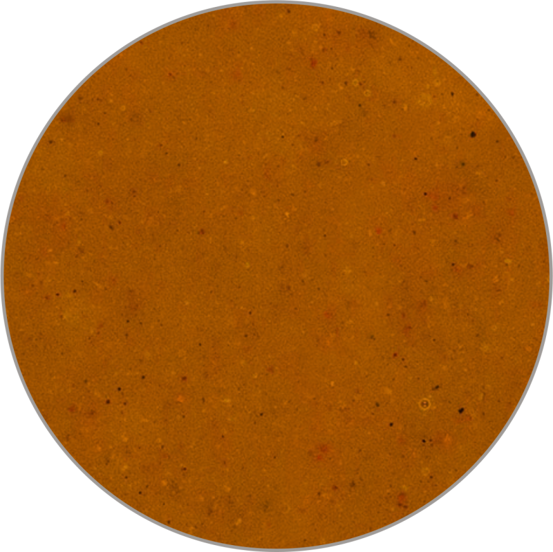 Salsa Wok Curry