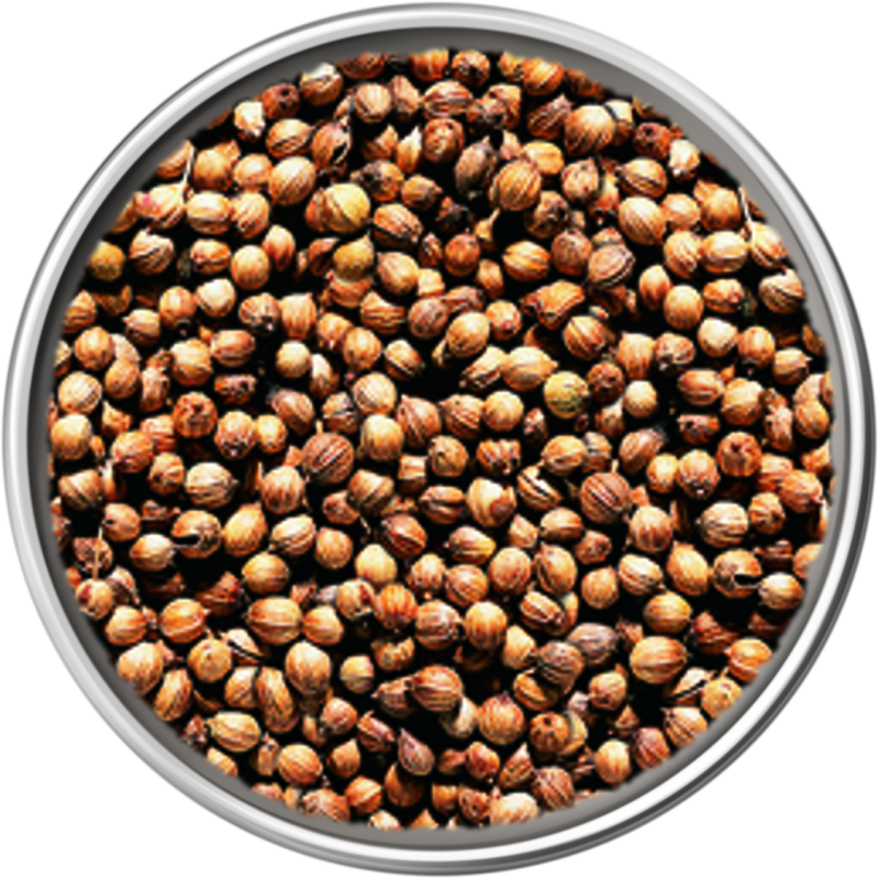 Coriander, Whole