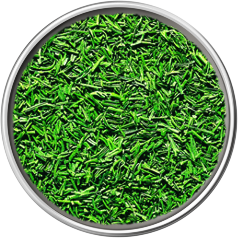 Dill, Freeze-Dried