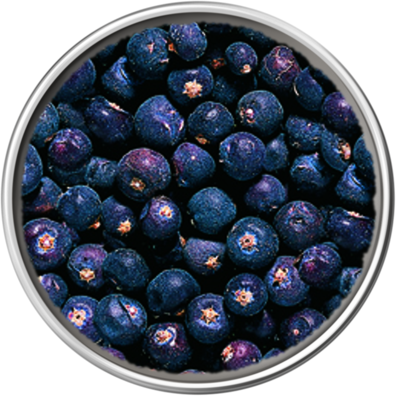 Juniper Berries, Whole