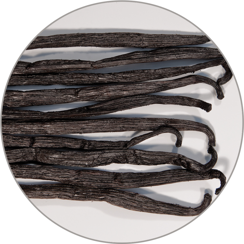 Gourmet Vanilla, Pods