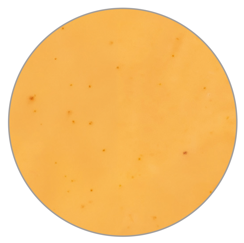 Cocktail Sauce